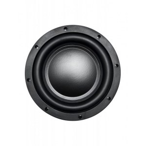 AMP A.Vahtin SWS-10 D2